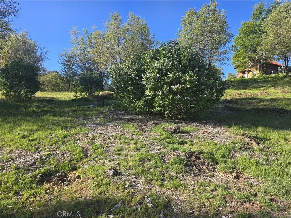 29783 Redwood, Cedar Glen