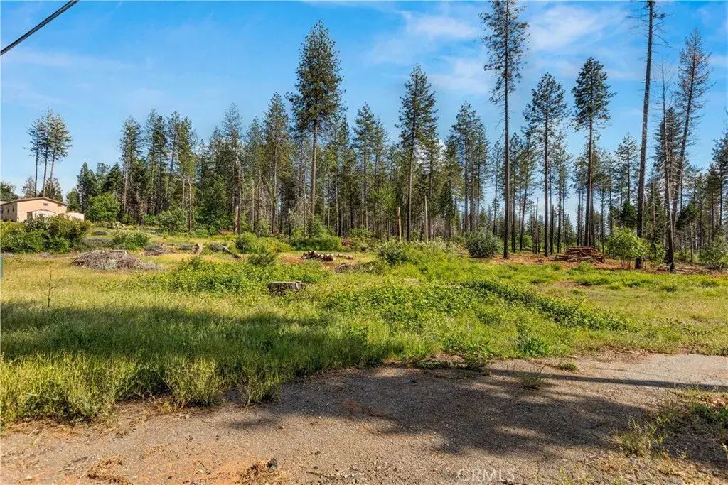 6234 Ponderosa, Magalia