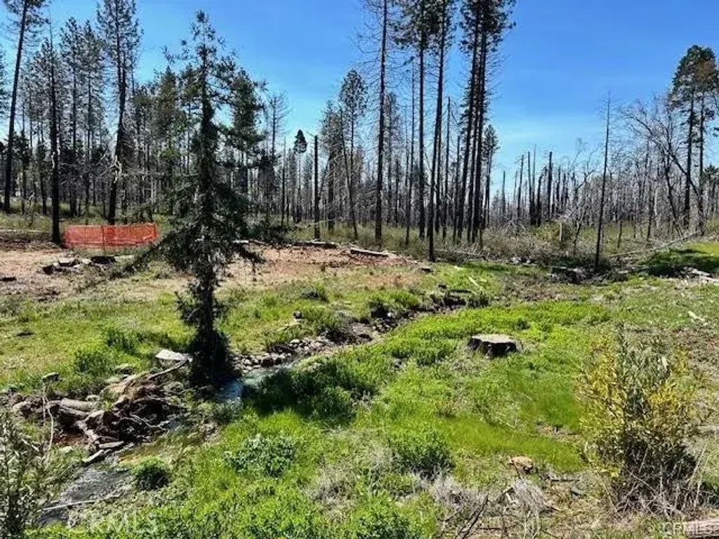 6230 Ponderosa, Magalia