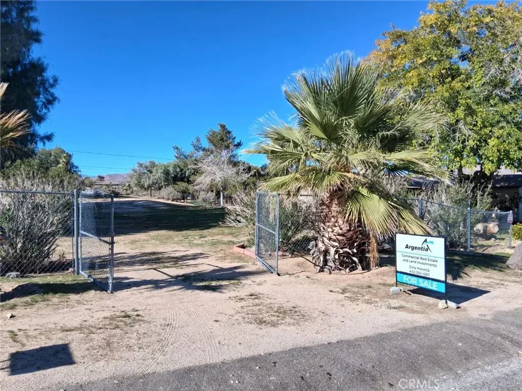 6896 Conejo, Joshua Tree