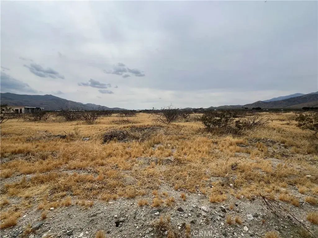 Elm, Cabazon