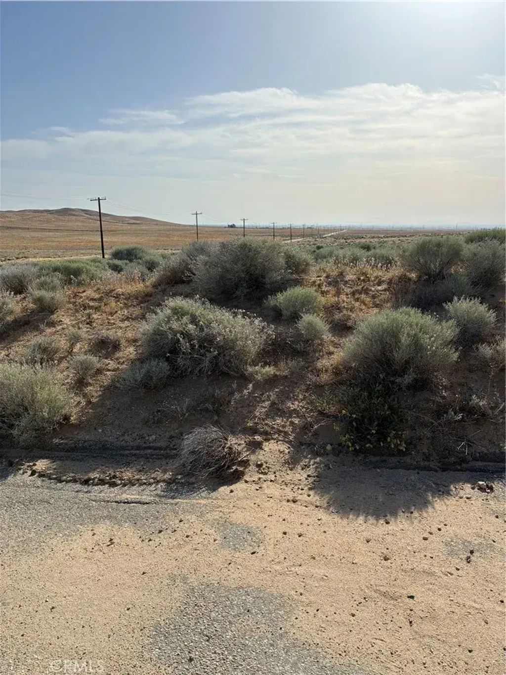Cholla, Helendale