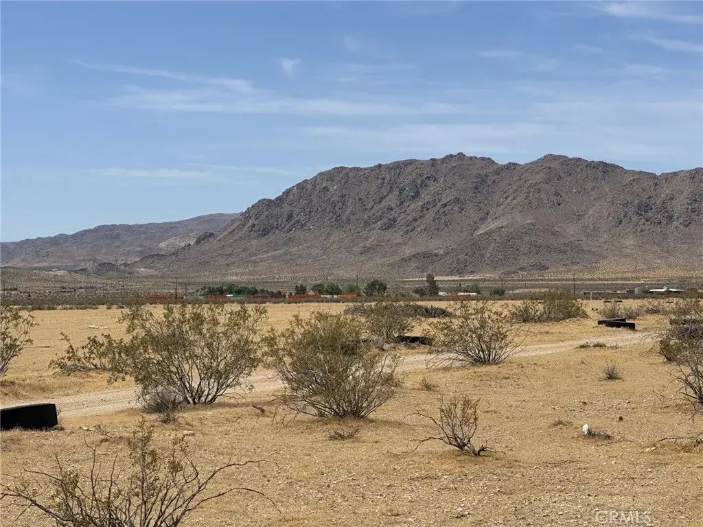 Medlar, Lucerne Valley