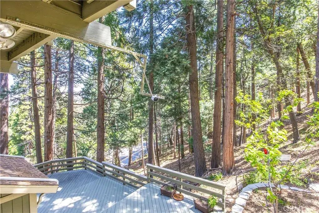 24098 Skyland, Crestline