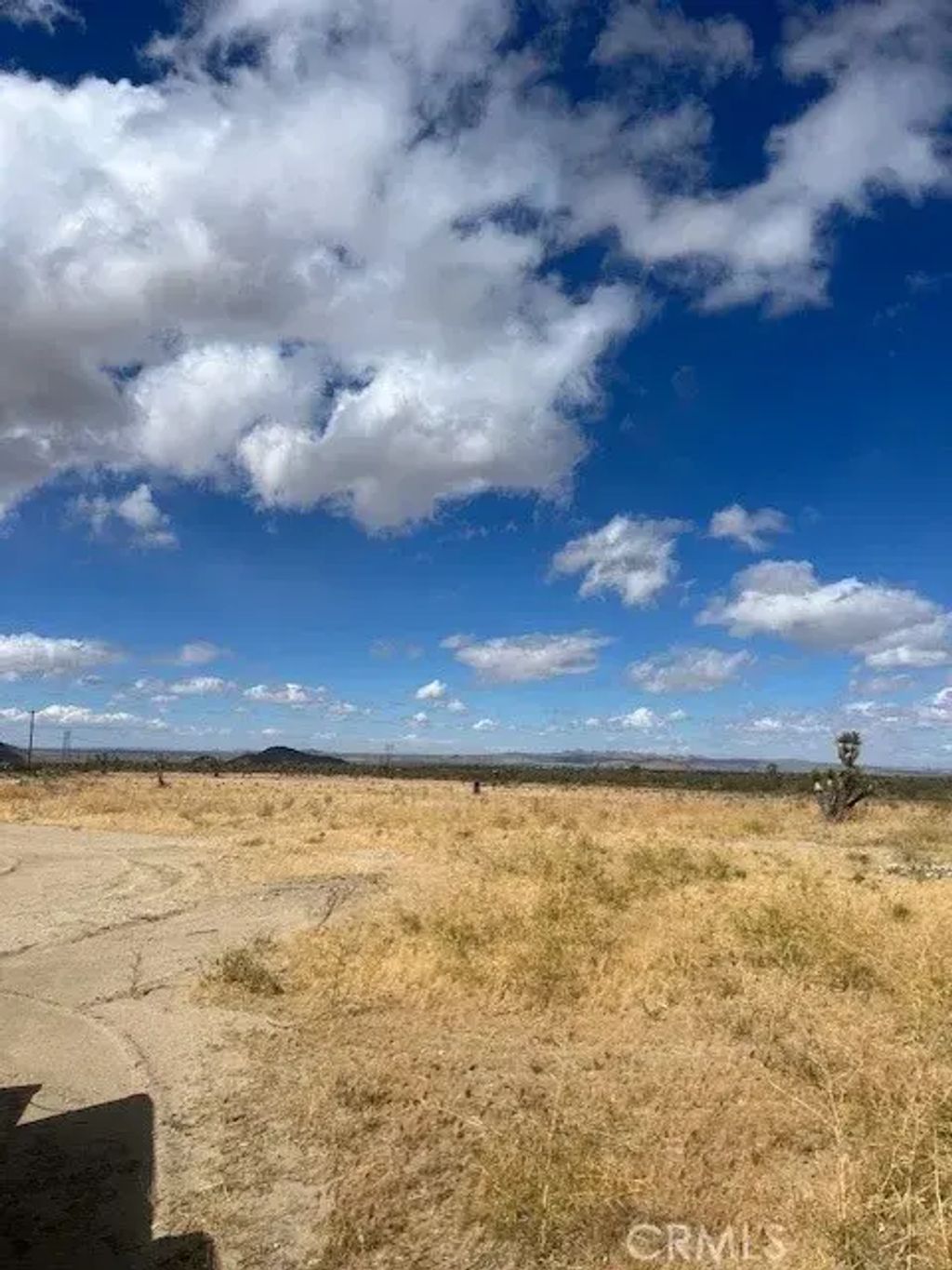235 Ste, Palmdale