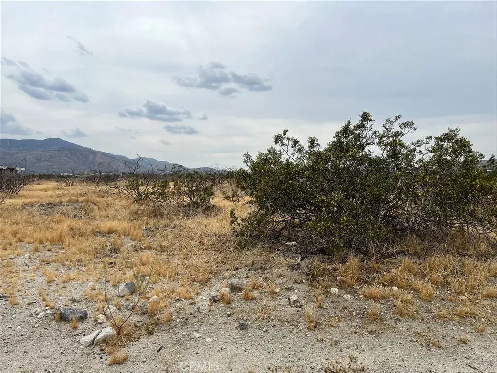William, Cabazon