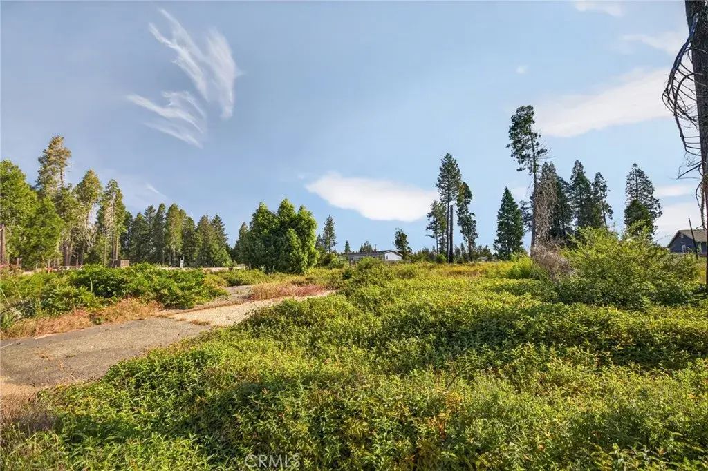 14116 Wingate, Magalia