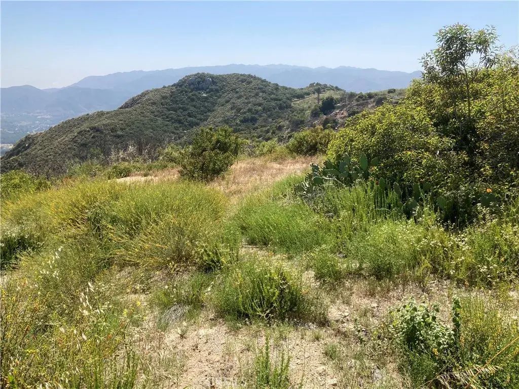 5 Crumley, Temecula