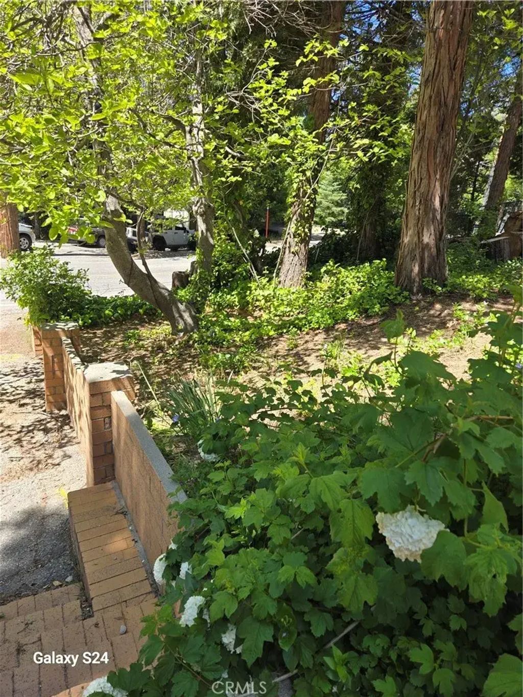 29053 Hook Creek, Cedar Glen