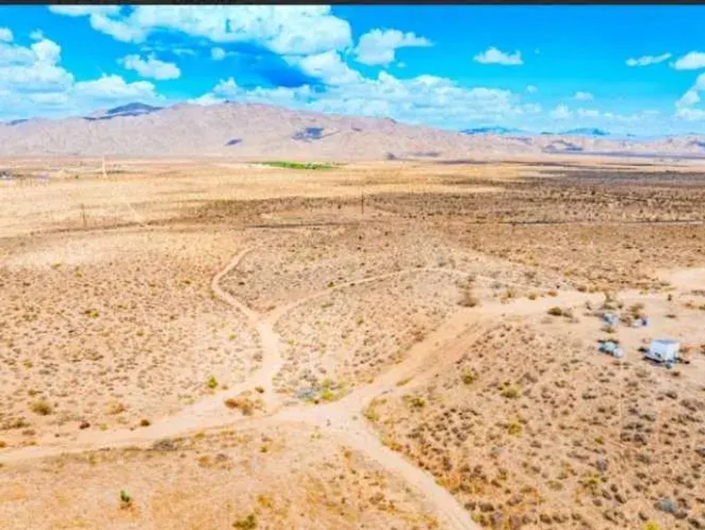 Ocotillo, Apple Valley