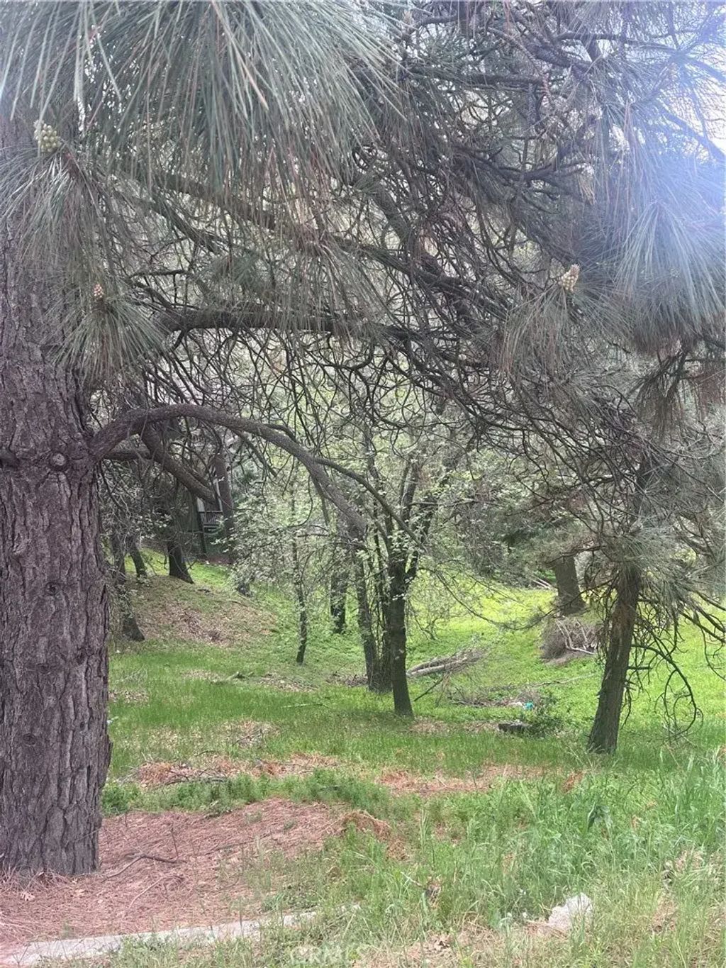 Jewel, Crestline