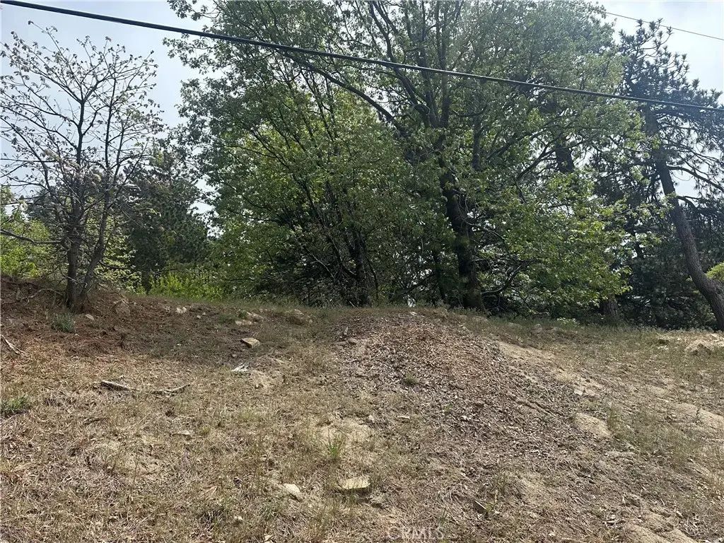 Deer Lick Lane, Running Springs