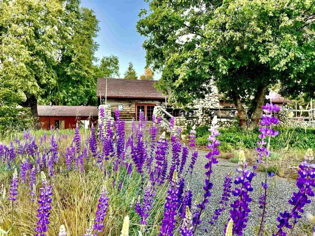 22228 Crestline Road, Palomar Mountain