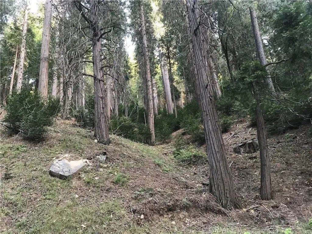 Mojave River, Cedarpines Park