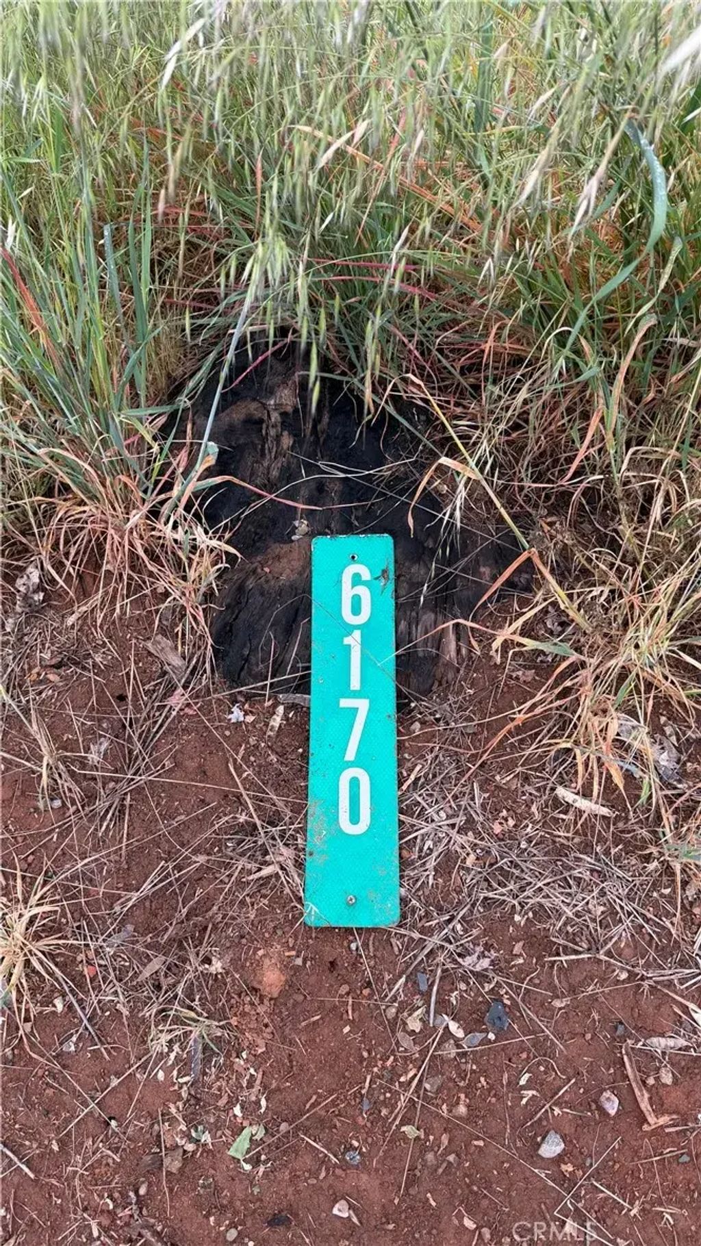 6170 Sawmill, Paradise