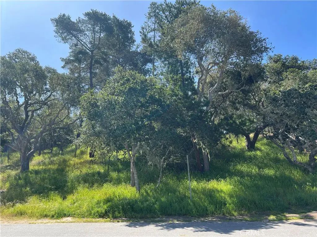 2480 Ross, Cambria