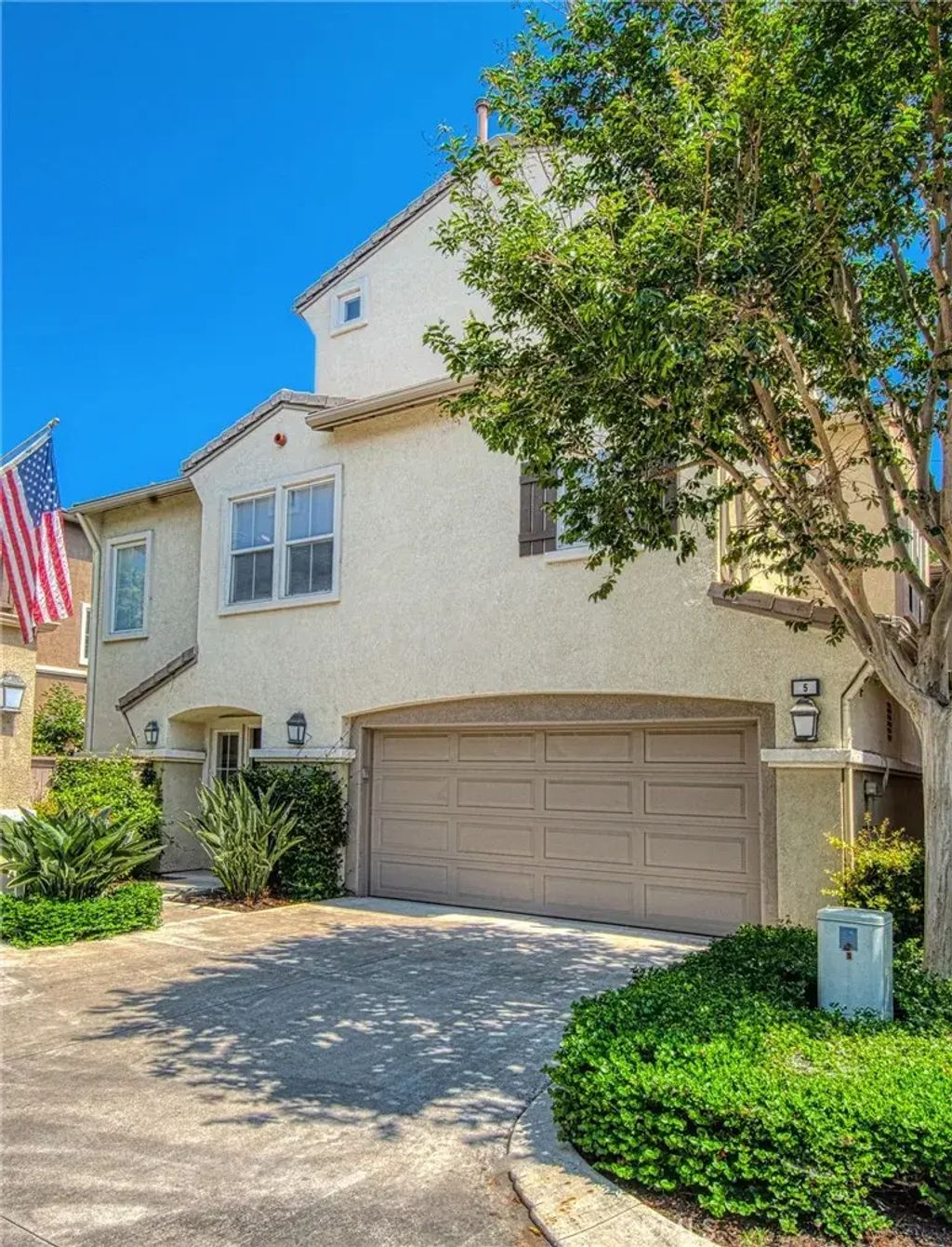 5 Ladypalm, Irvine