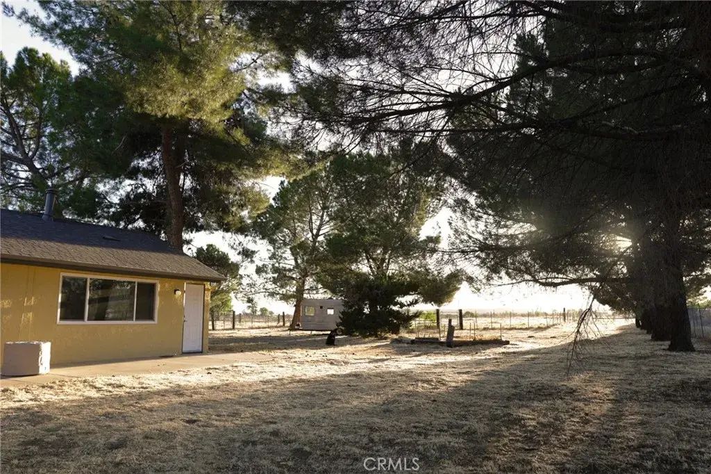 39396 Cary, Anza
