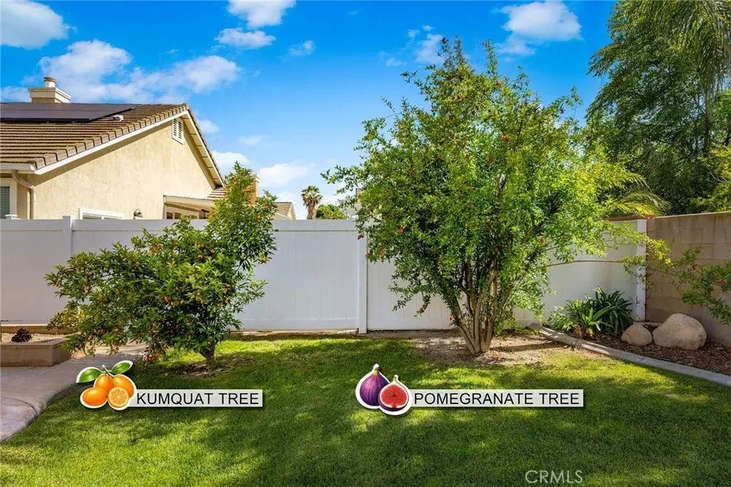 13246 Sycamore, Chino