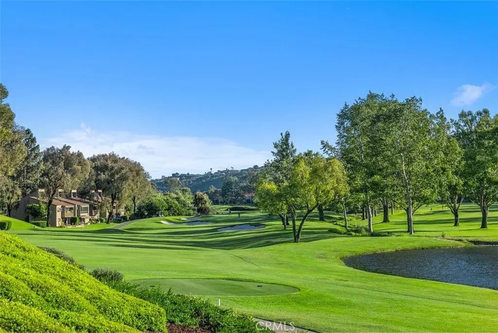 31461 E East Nine Dr, Laguna Niguel