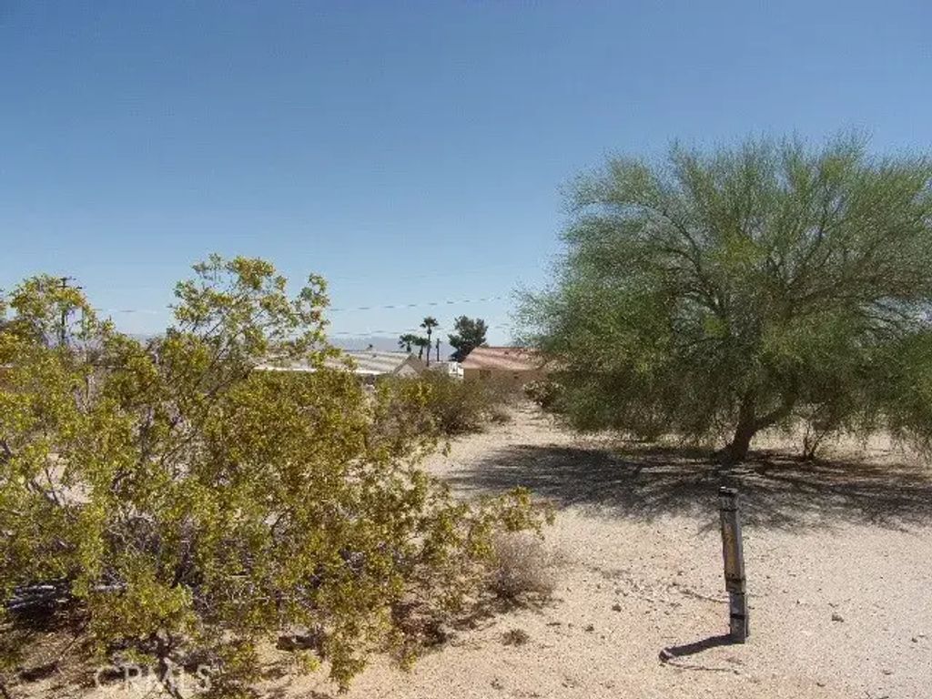 Canyon, 29 Palms