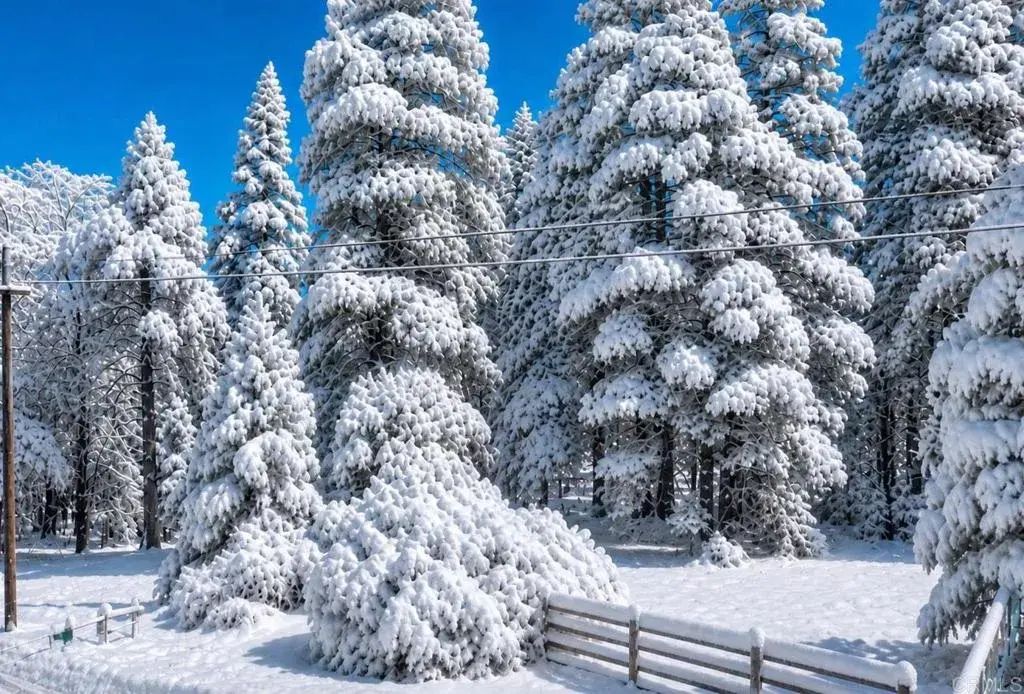 Crestline, Palomar Mountain