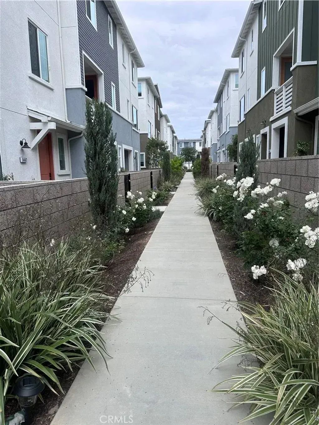 1447 Sea, San Pedro