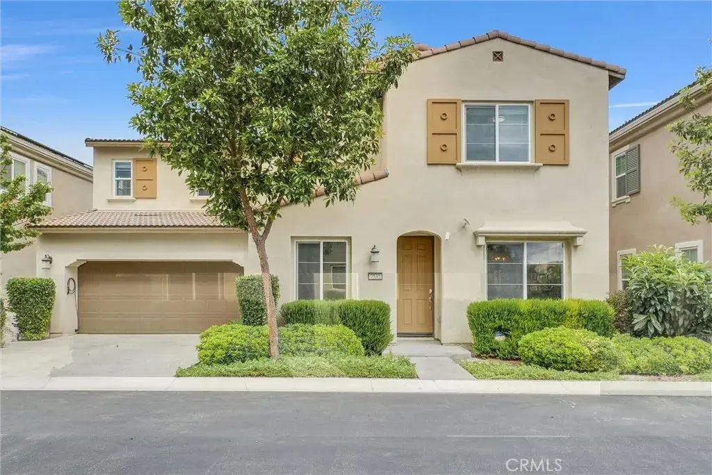 7532 Shorthorn, Chino