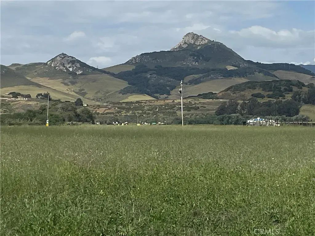 Latigo, Los Osos