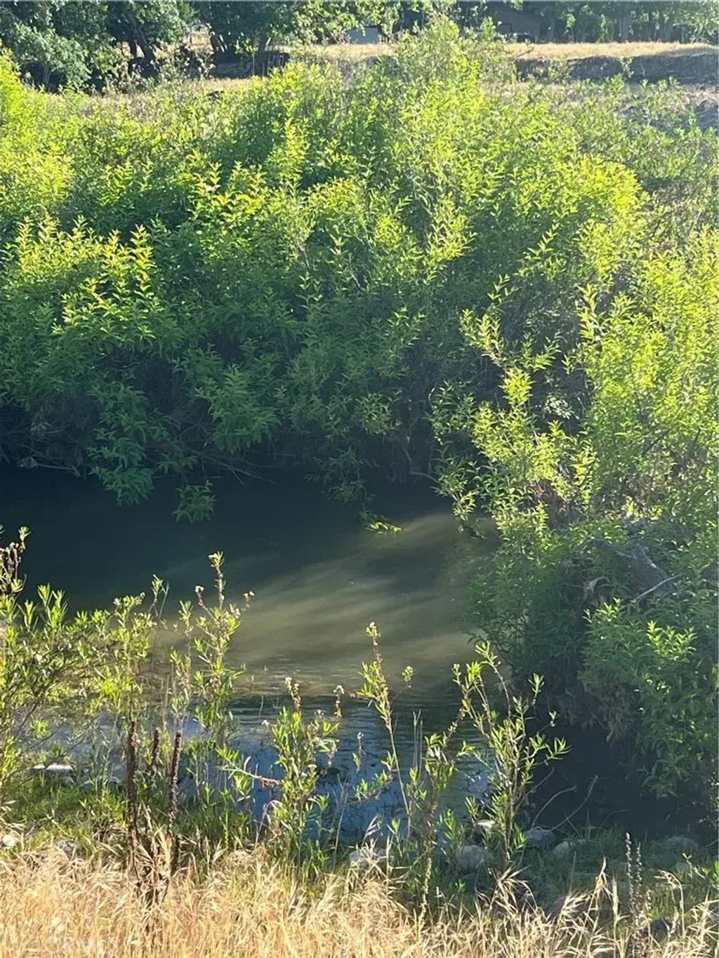 Live Oak Dr, Sanger