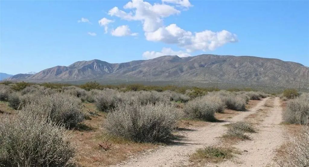 Collins, Mojave