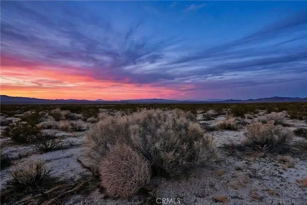 1 Topanga, Newberry Springs
