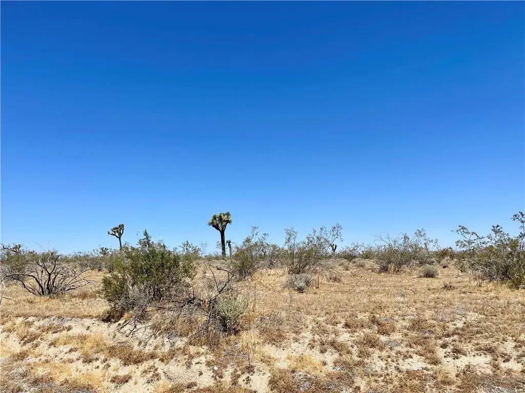 Nevada Rd., Phelan
