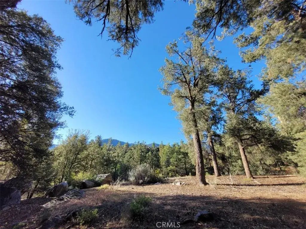 15913 Wildwood, Pine Mountain Club