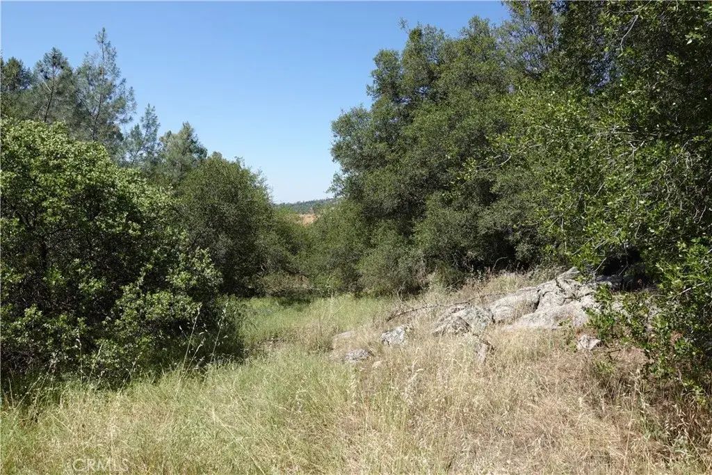 Running Deer Way, Coarsegold