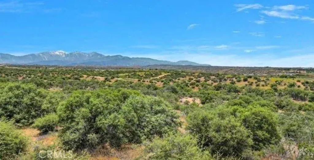 Cactus, Oak Hills