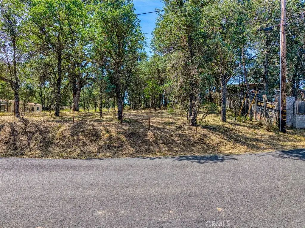 16793 Big Bear, Lower Lake