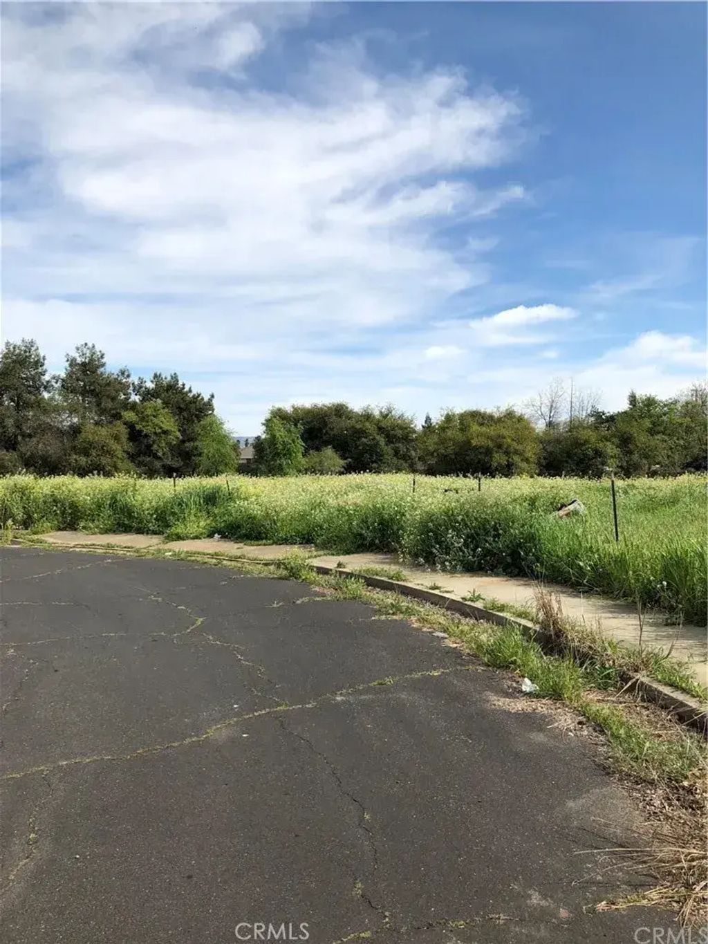 77 Paula, Oroville