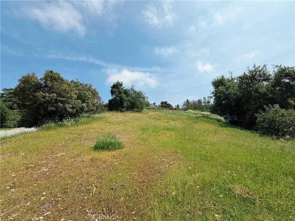 1826 Bluebird, Glendora