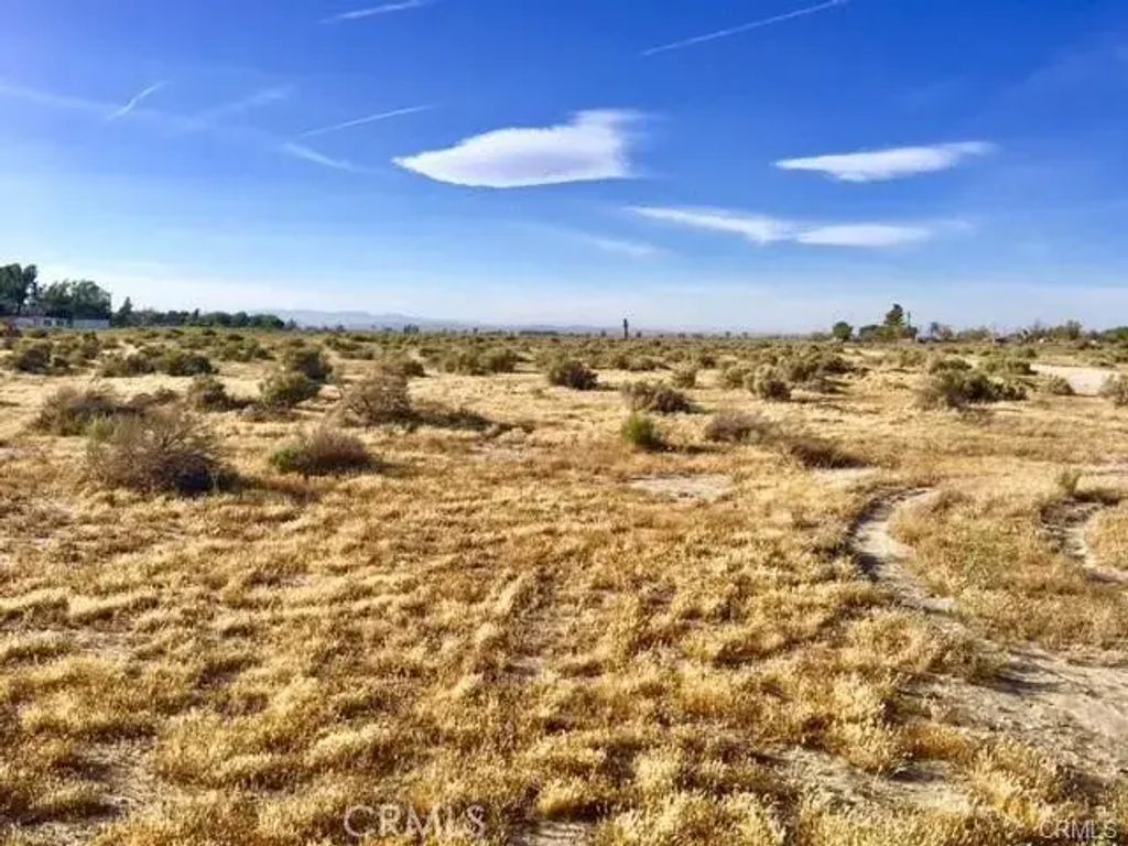 93 Avenue J, Roosevelt