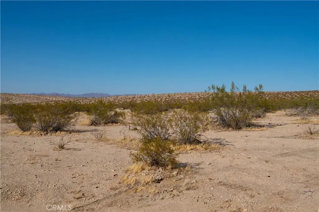 Near Pampas, 29 Palms