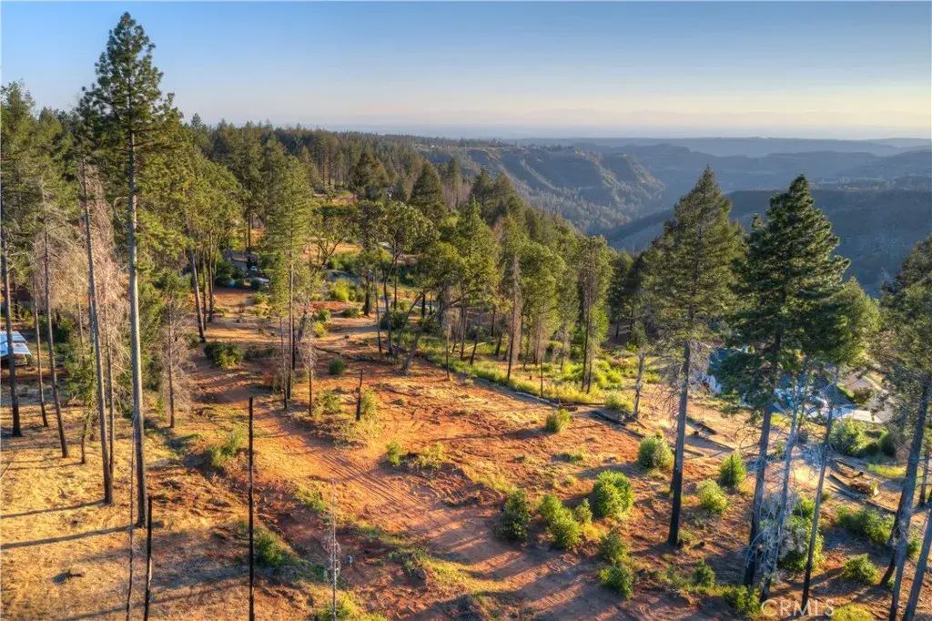 Lofty, Paradise