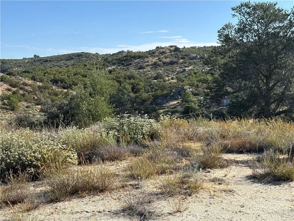 Dry Wash, Anza