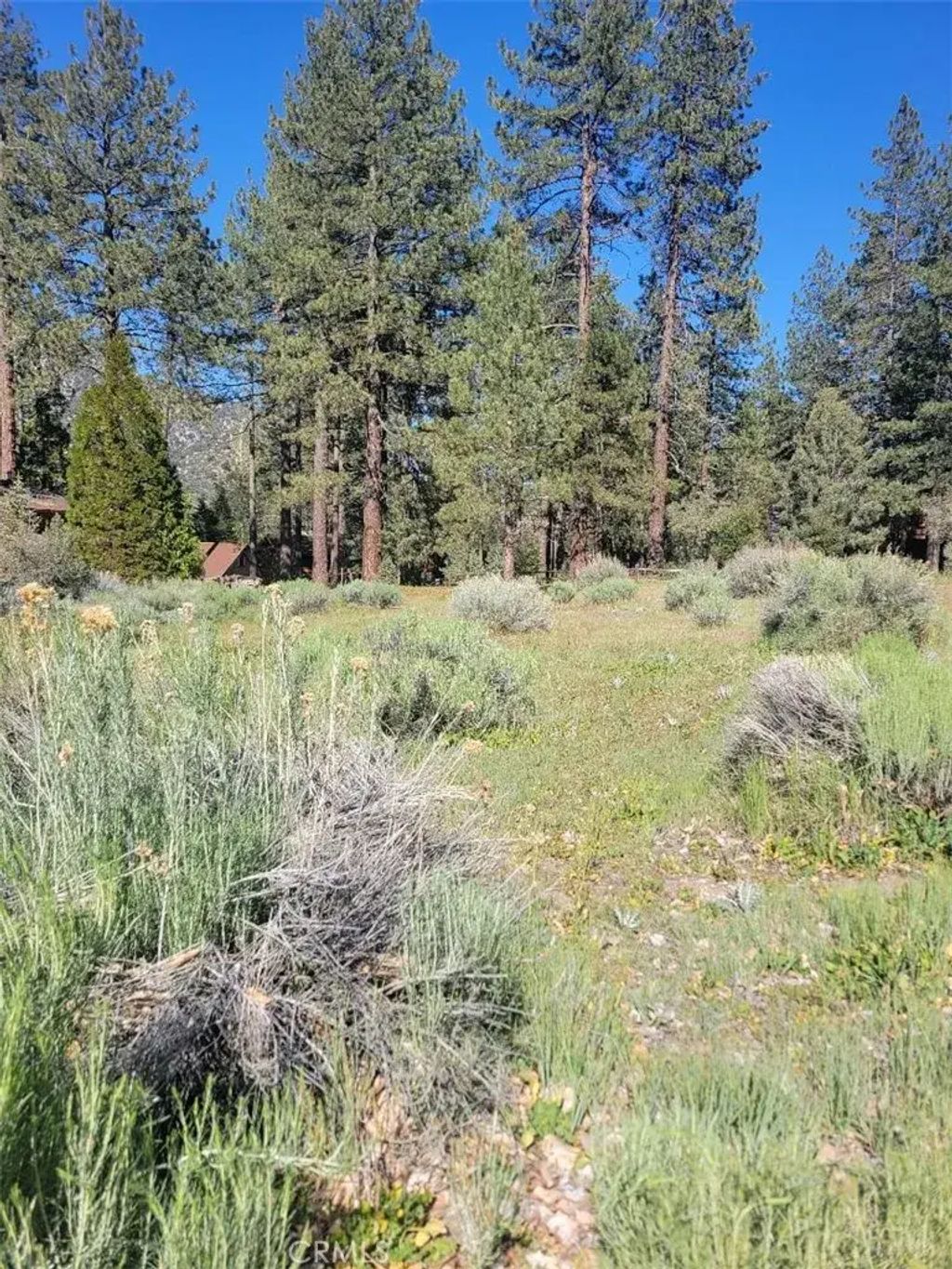 2612 Brentwood, Pine Mountain Club