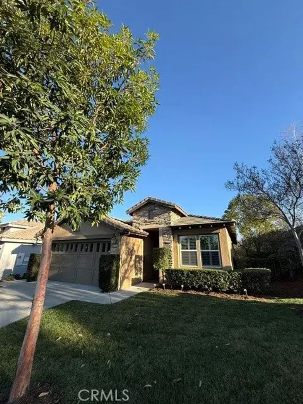 9133 Espinosa, Corona