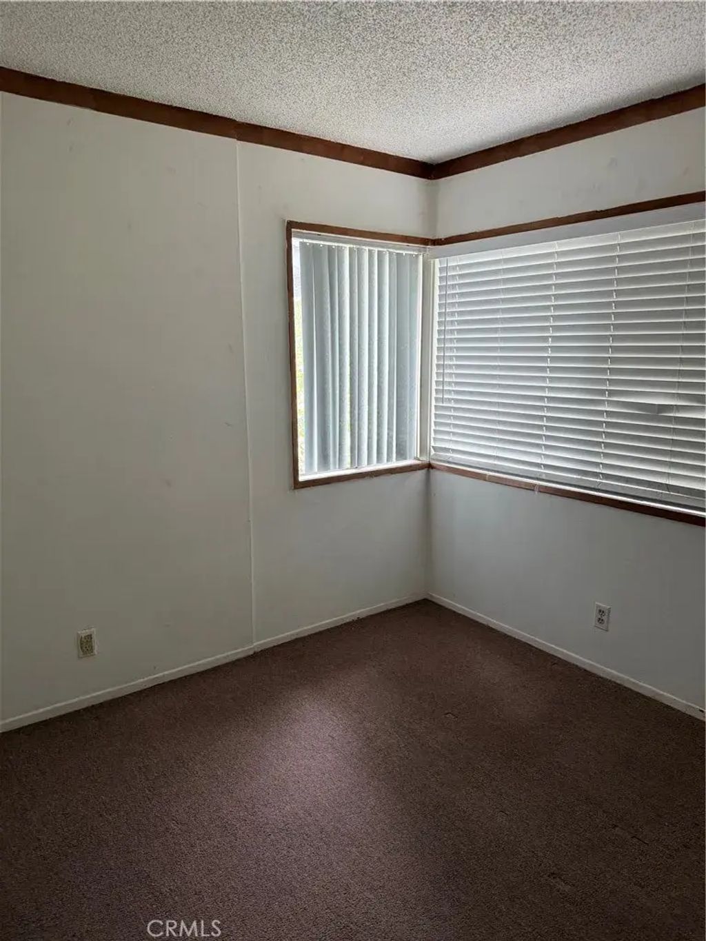23571 Maribel, Carson