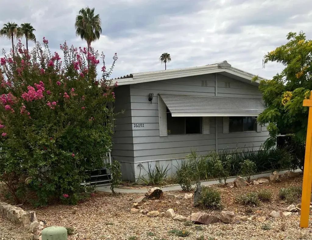 26092 Bamboo Palm, Homeland
