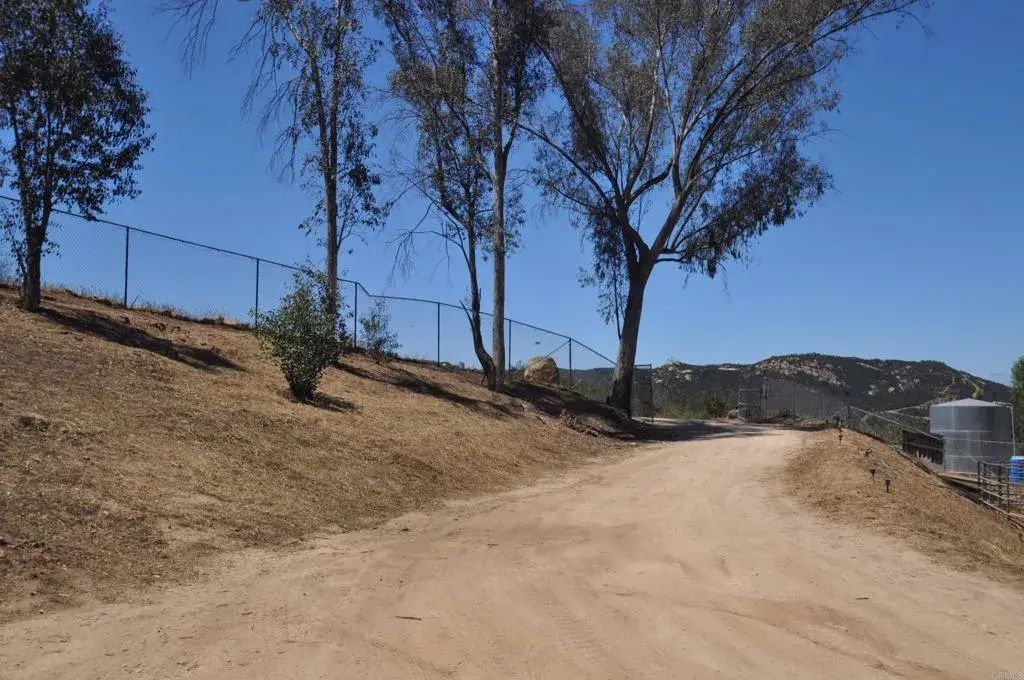 18240 Bunny, Jamul