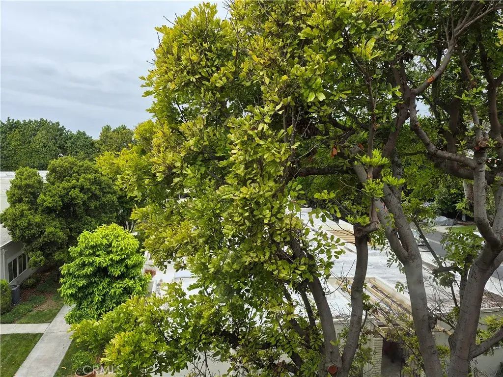 2370 W Via Mariposa 3d, Laguna Woods