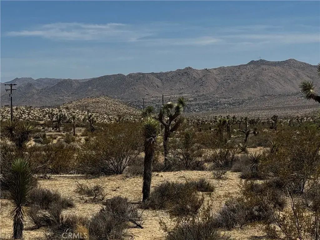 Anita, Yucca Valley